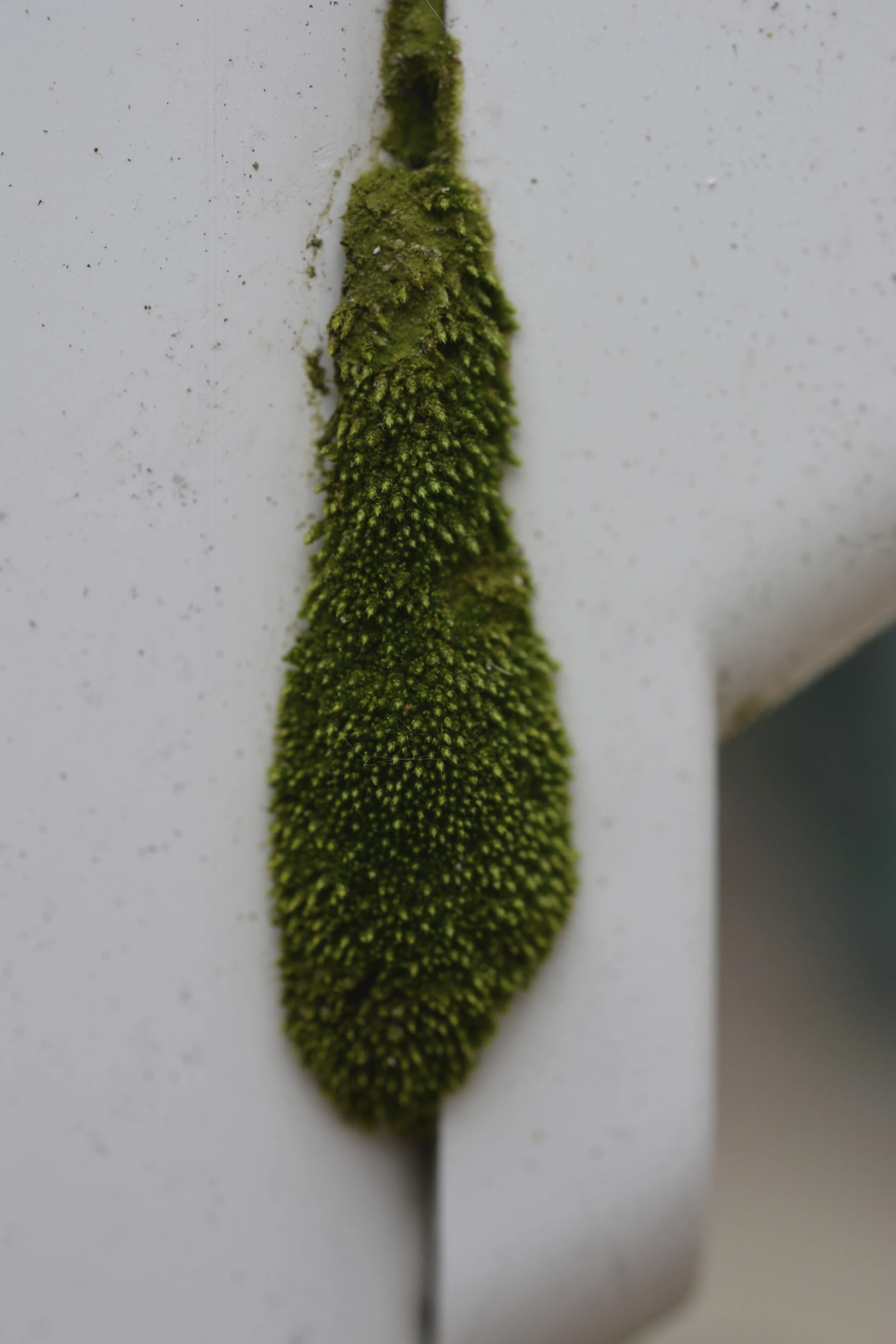 DSC_0120_2.jpg
