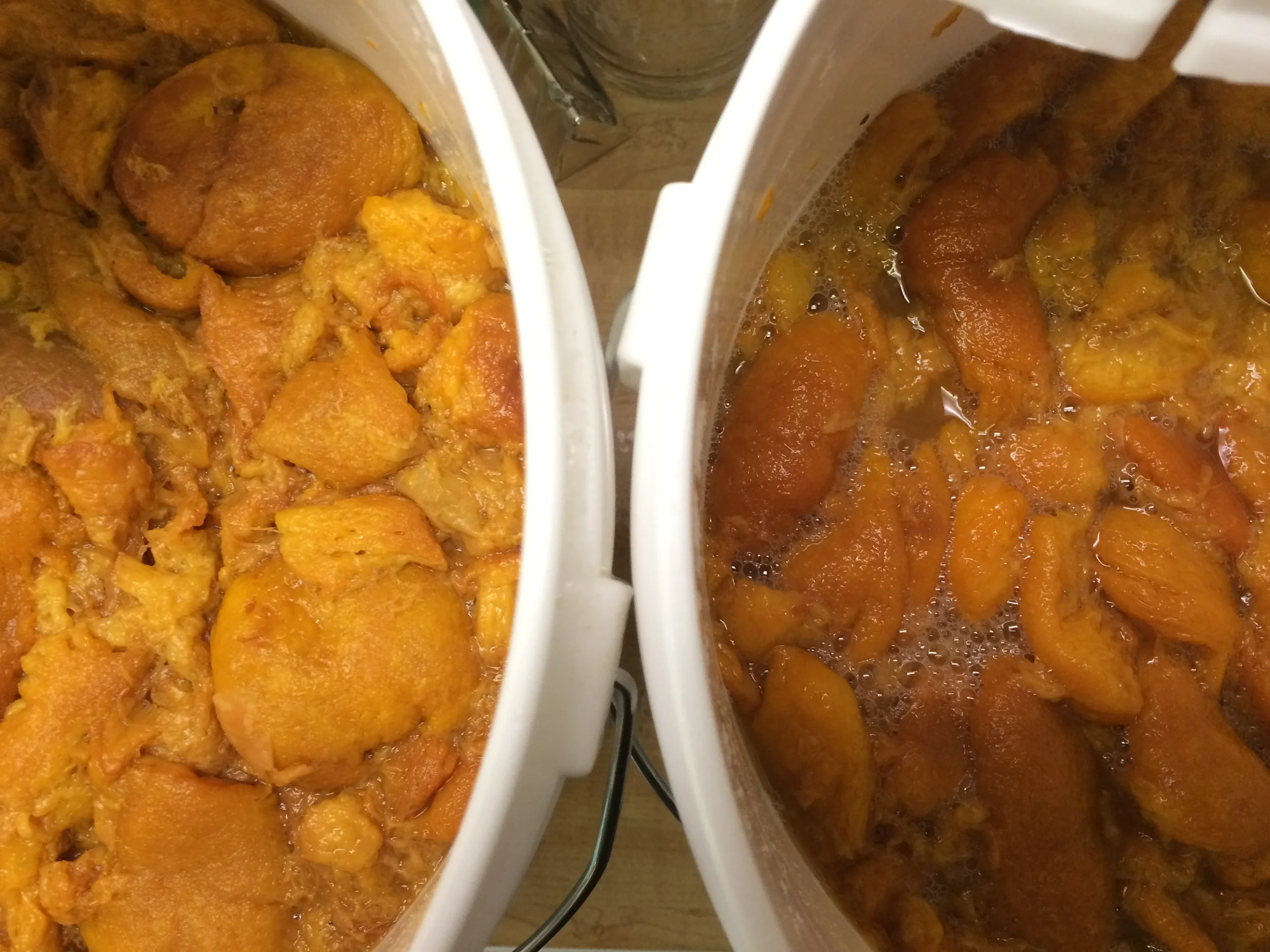 Two batches of Peachy Keen. A strong "cap" is shown in the batch on the left; the batch on the right is what it looks like after the cap has been "punched down". 