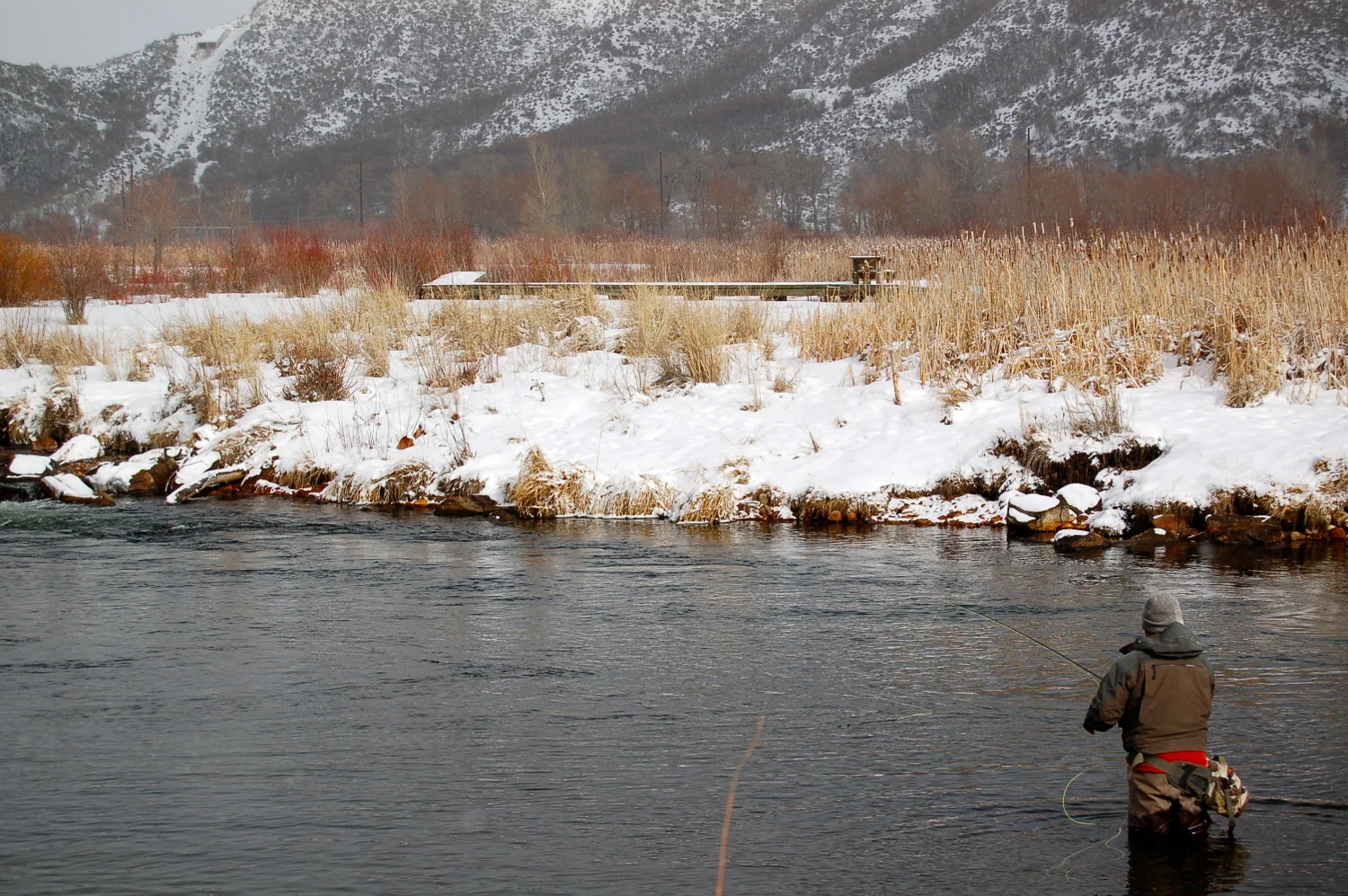 Throwing the dry on the Middle Provo River — Park City Fly Fishing