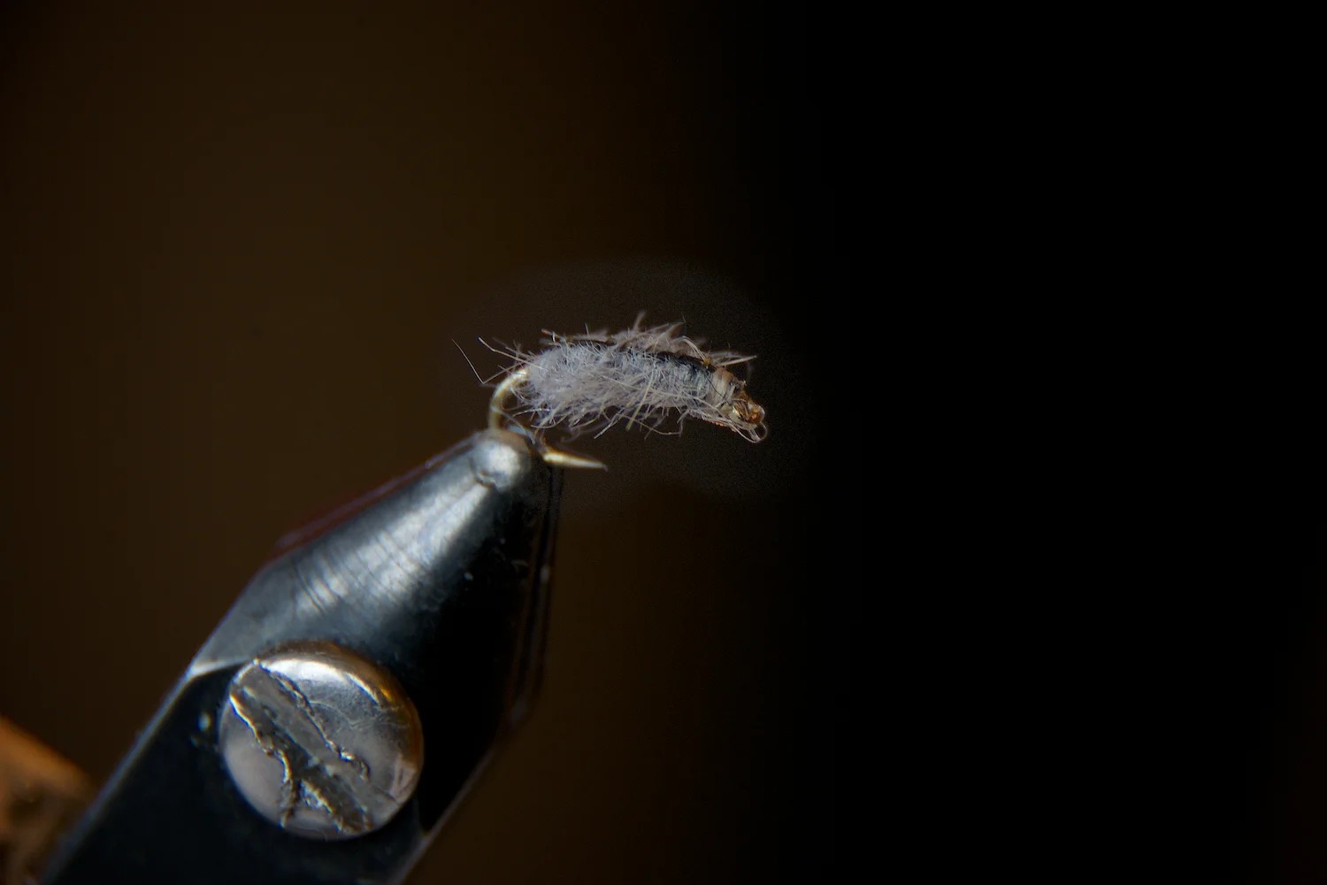 sow bug, side view