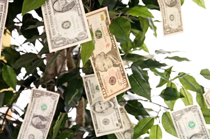 You Can be Frugal and Green