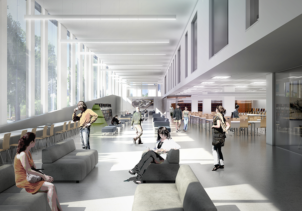 07_Library_final-sm.png