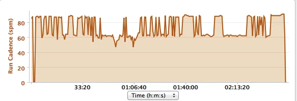 A lot of walking.... :(