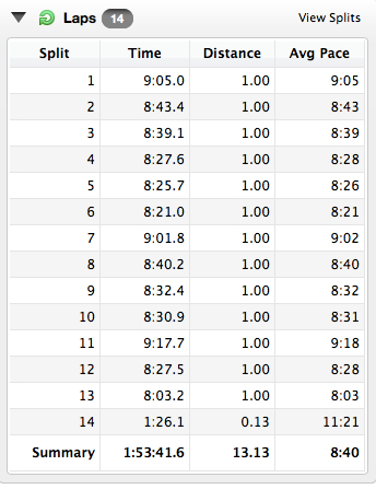 Run Course Mile Splits.jpg