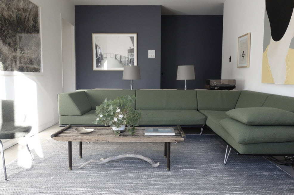 The Clinton Avenue Apartment of Photographer Susanna Howe, via Remodelista