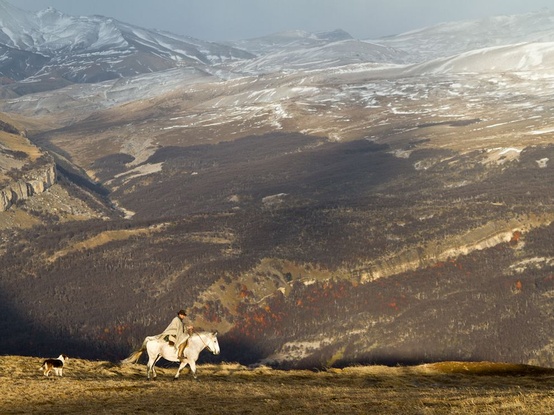 NationalGeographic.com, via Pinterest