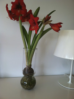 Example of a forcing vase.