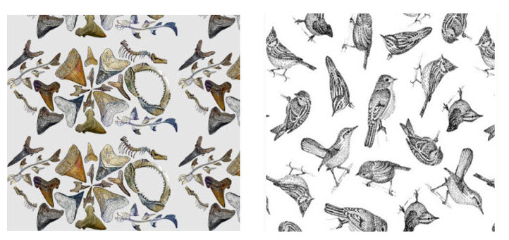 Shark-Teeth-Birds-Removable-Wallpaper.jpg