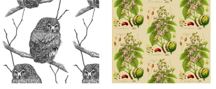 Owl-Chestnut-Removable-Wallpaper.jpg