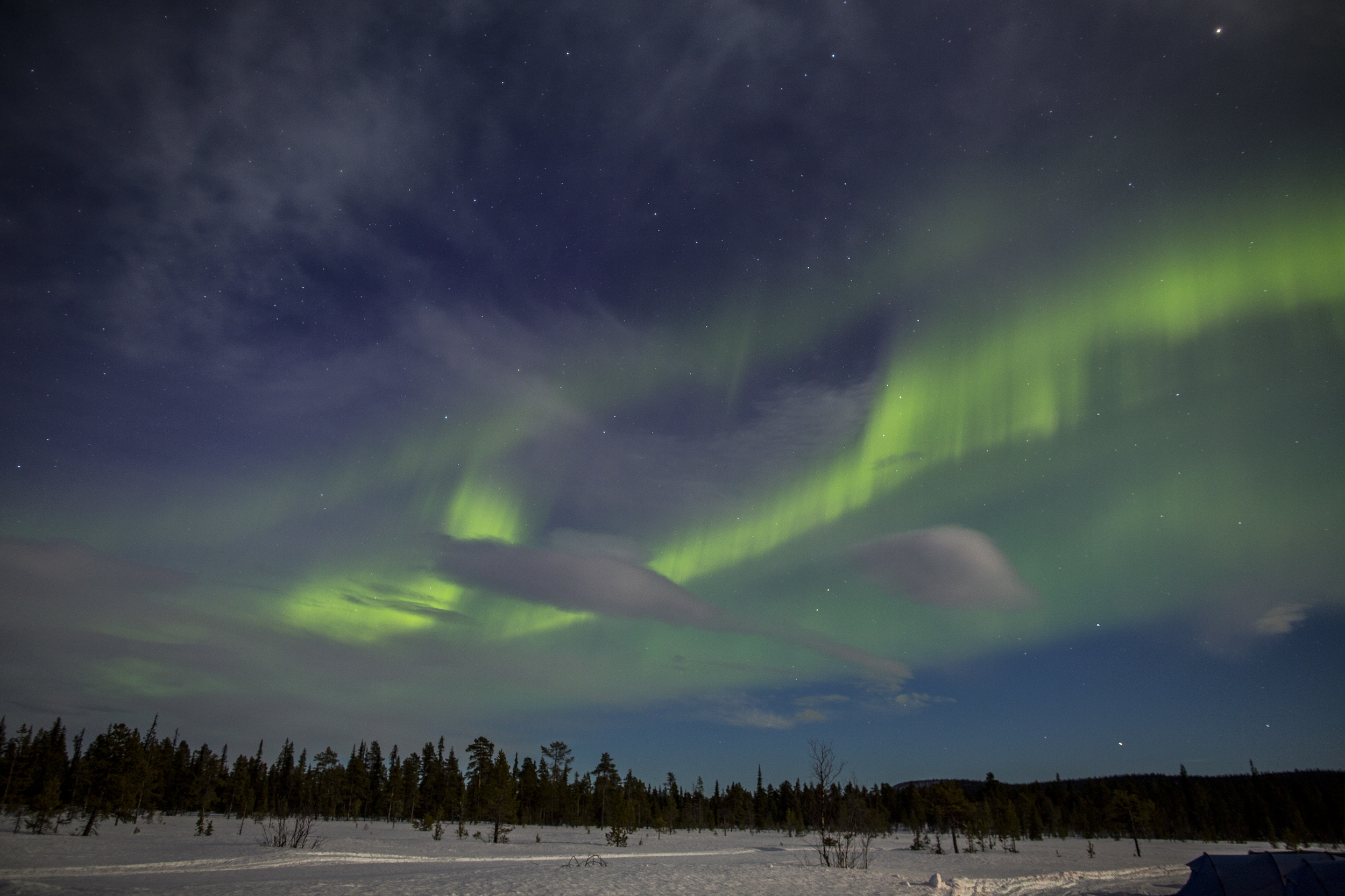 Aurora Borealis dances over our heads on Day 5 of Fjällräven Polar. (Photo by Håkan Wike for Fjällräven International. All rights reserved.)