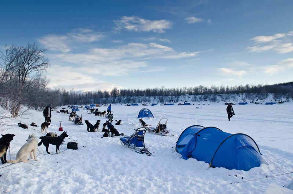 By the time Team-Sweden USA arrives at our Day 4 campsite on the frozen Lake Kattujärvi, most of the other teams have already pitched their tents and started to prepare dinner for the dogs. (Photo by Håkan Wike for Fjällräven International. All rights reserved.)