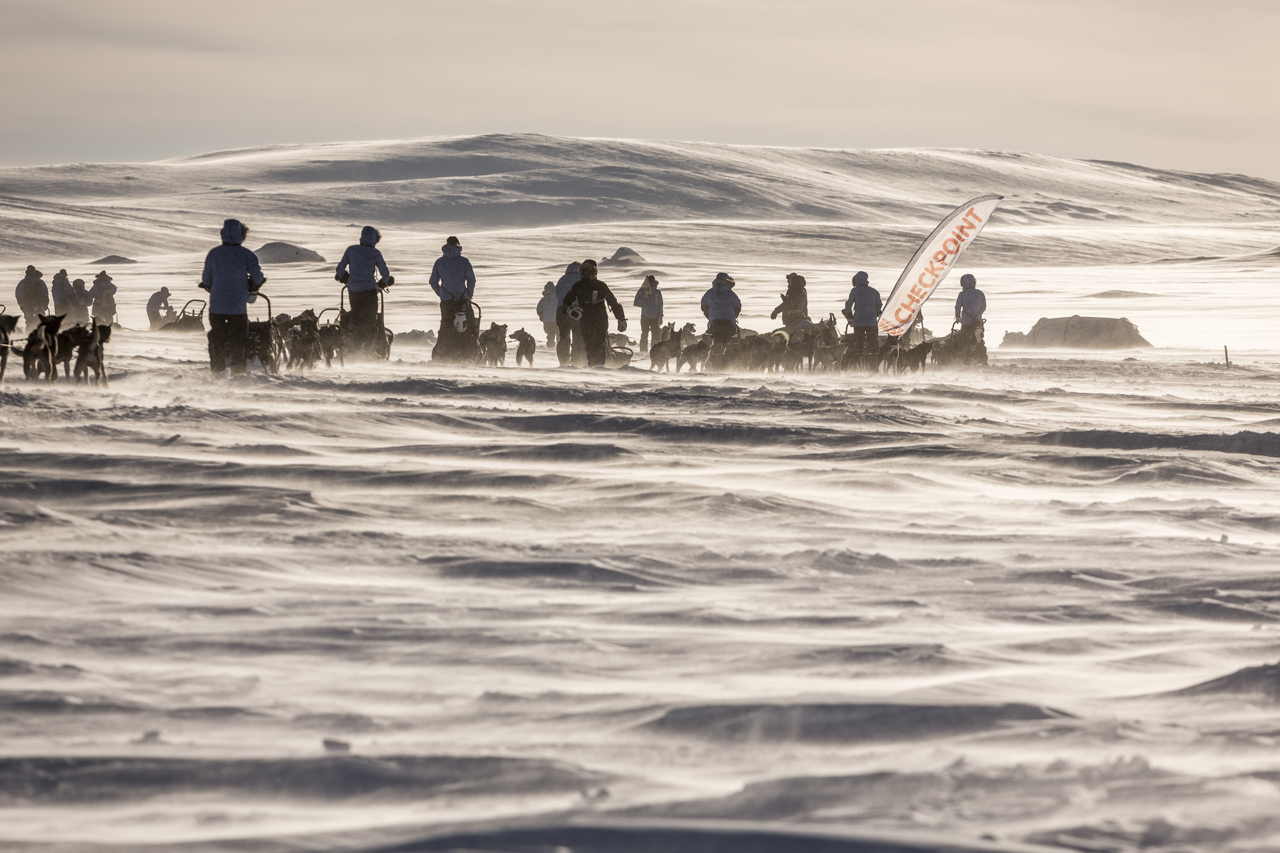 We arrive in Råstu, our campsite in the tundra, and quickly surmise that it is not a very human-friendly place. (Photo by Håkan Wike for Fjällräven International. All rights reserved.)