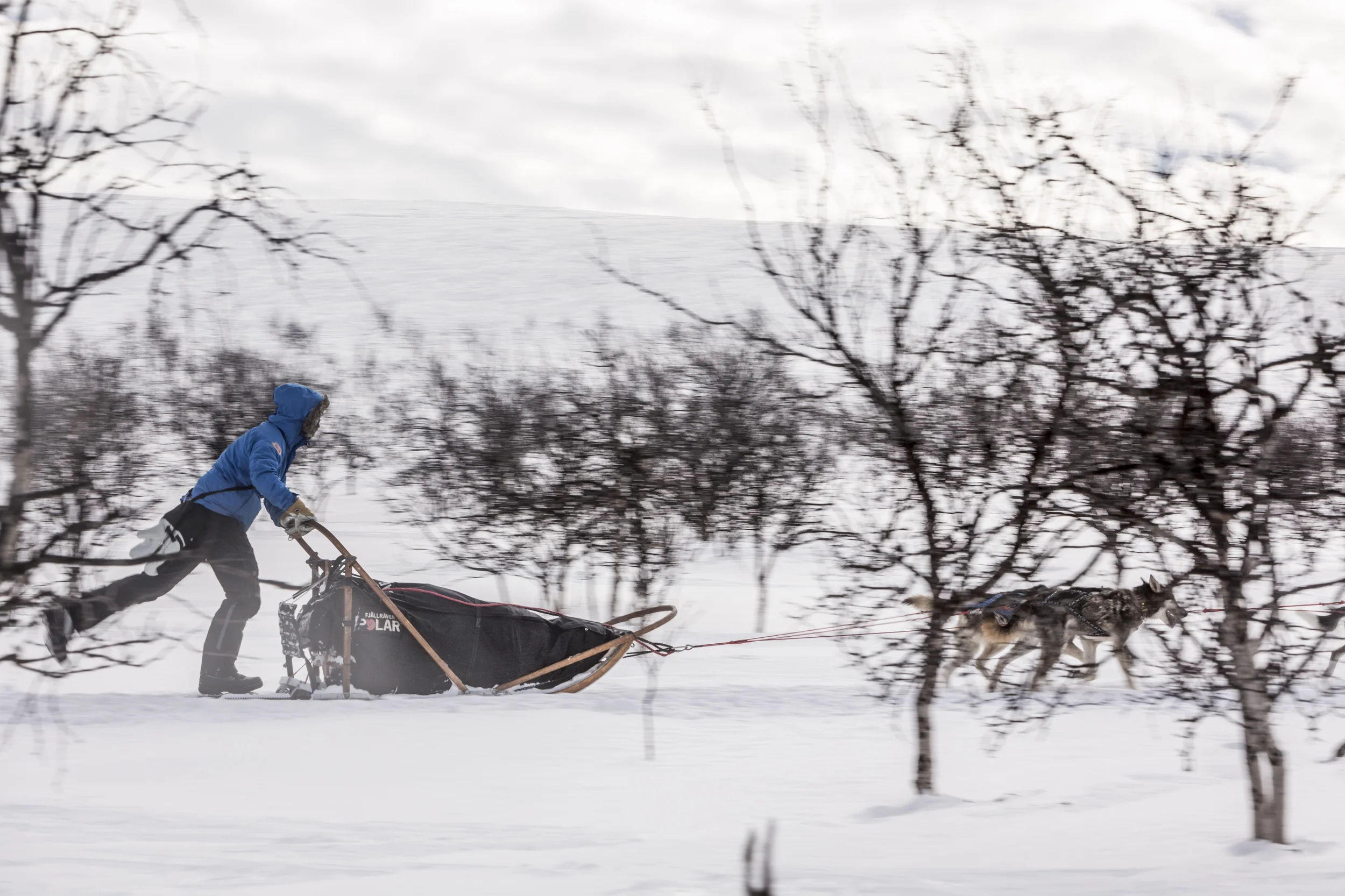 There's no gentle acceleration on a dog sled. Once you release the hard brake, you pick up speed fast. (Photo by Håkan Wike for Fjällräven International. All rights reserved.)