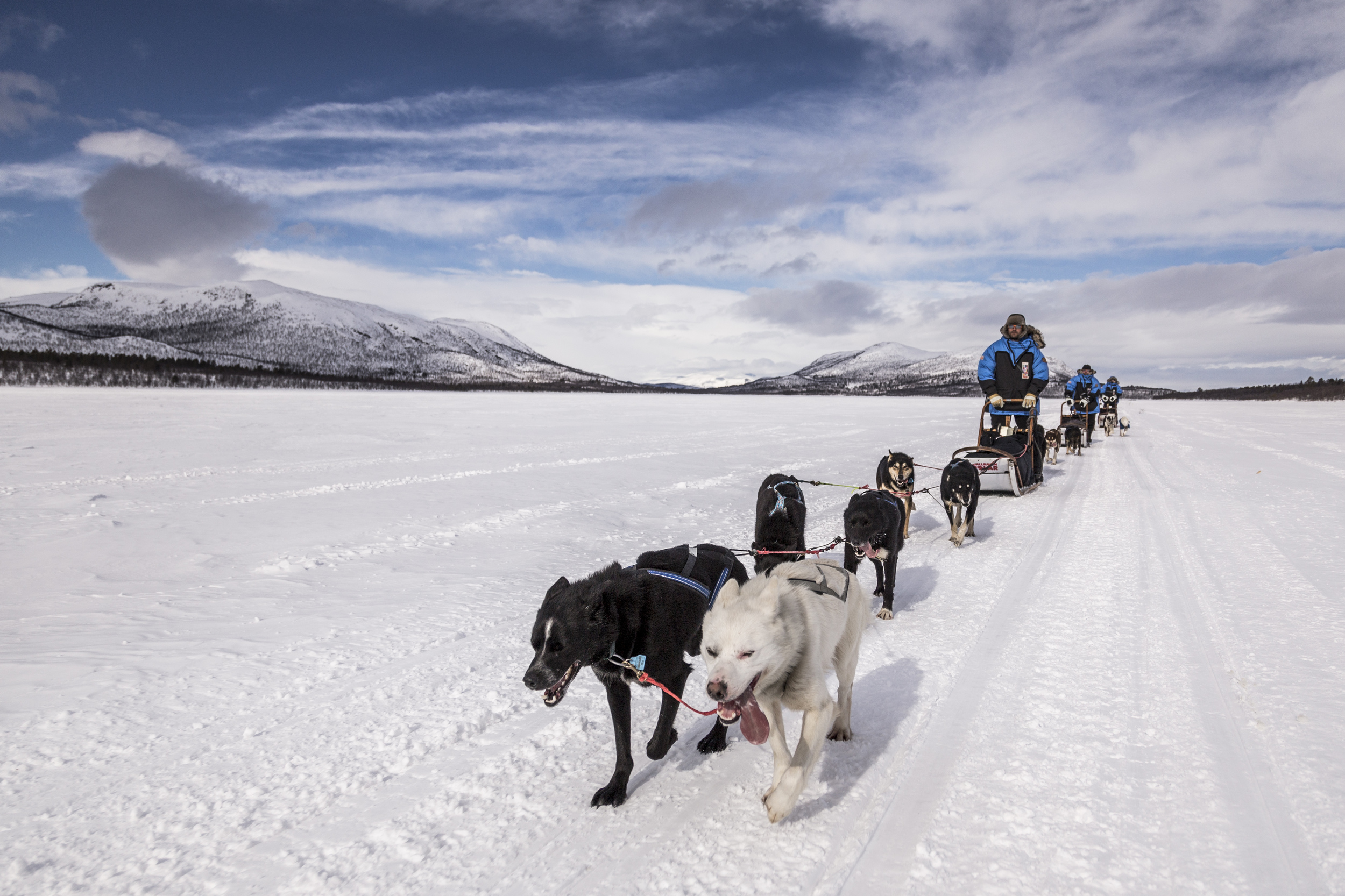The flat frozen lakes, although windy, provide an opportunity for dogs and sledders both to relax a bit. It's the forests that require full concentration. (Photo by Håkan Wike for Fjällräven International. All rights reserved.)