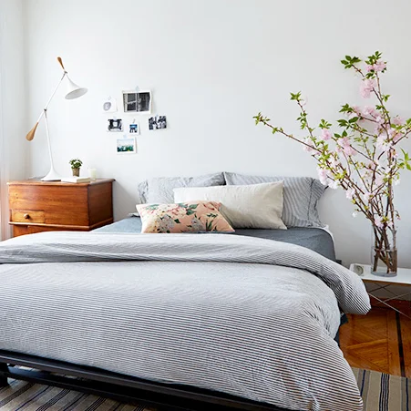 DESIGN*SPONGE