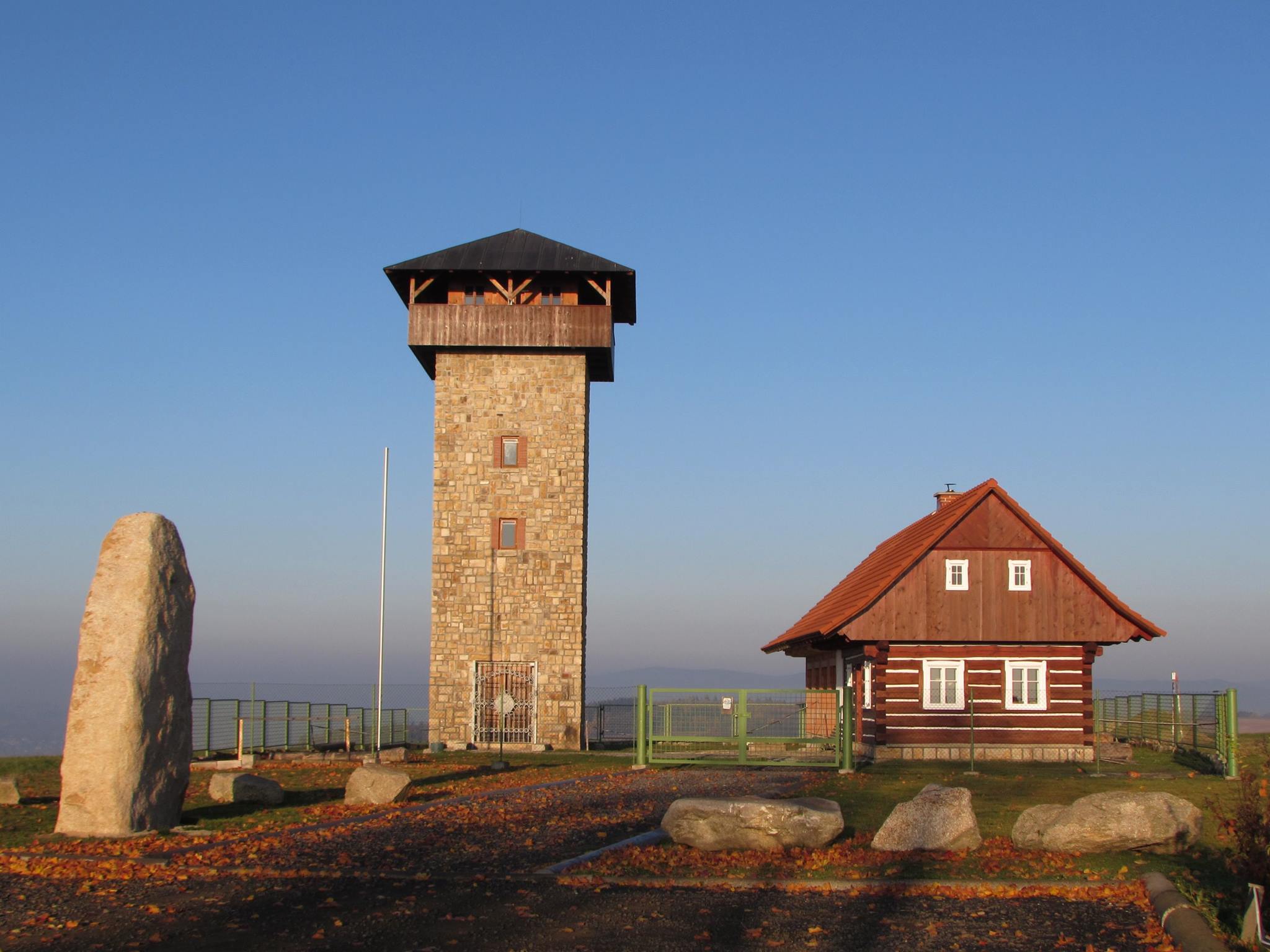 borovice2.jpg