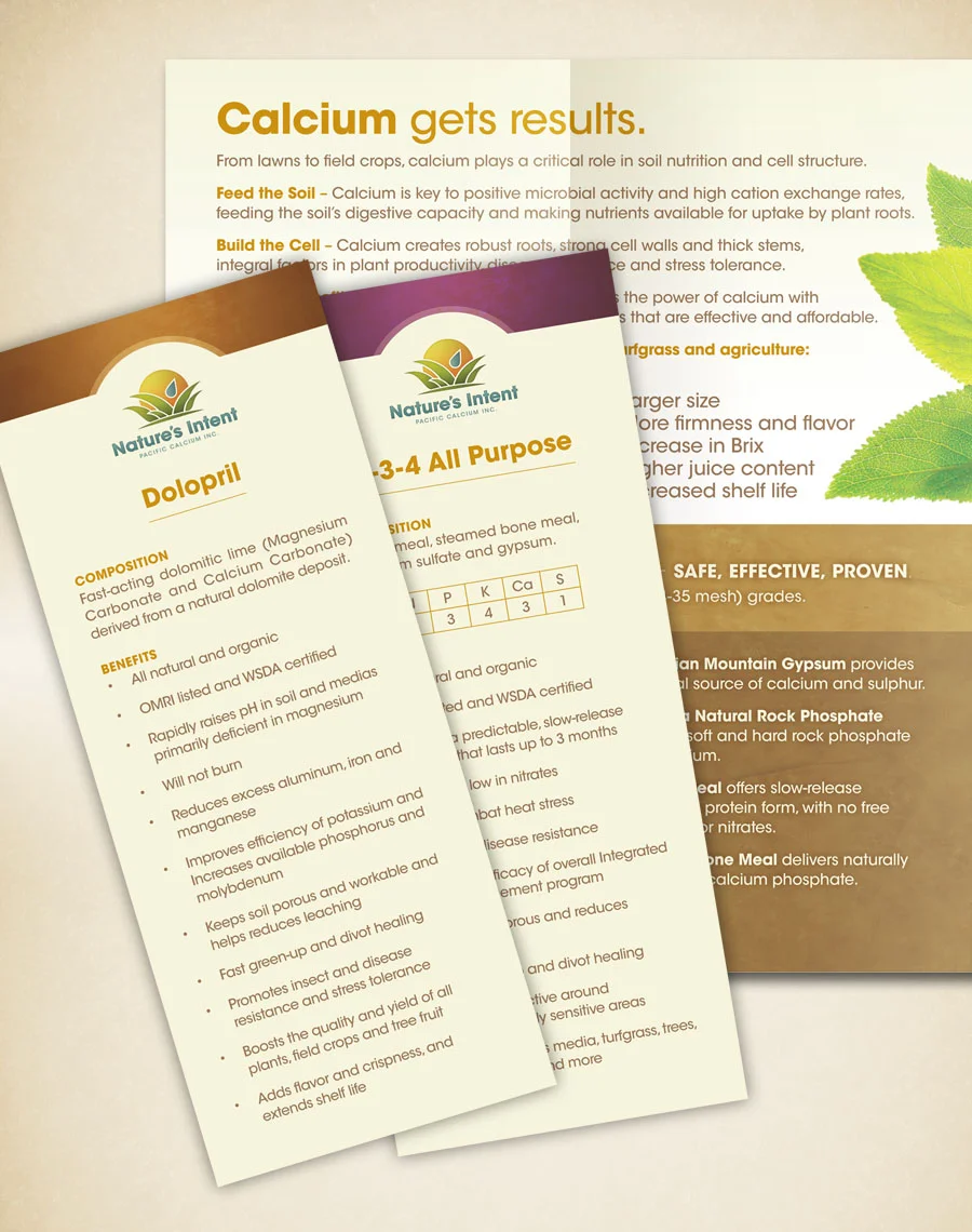Brochure-PCI.jpg