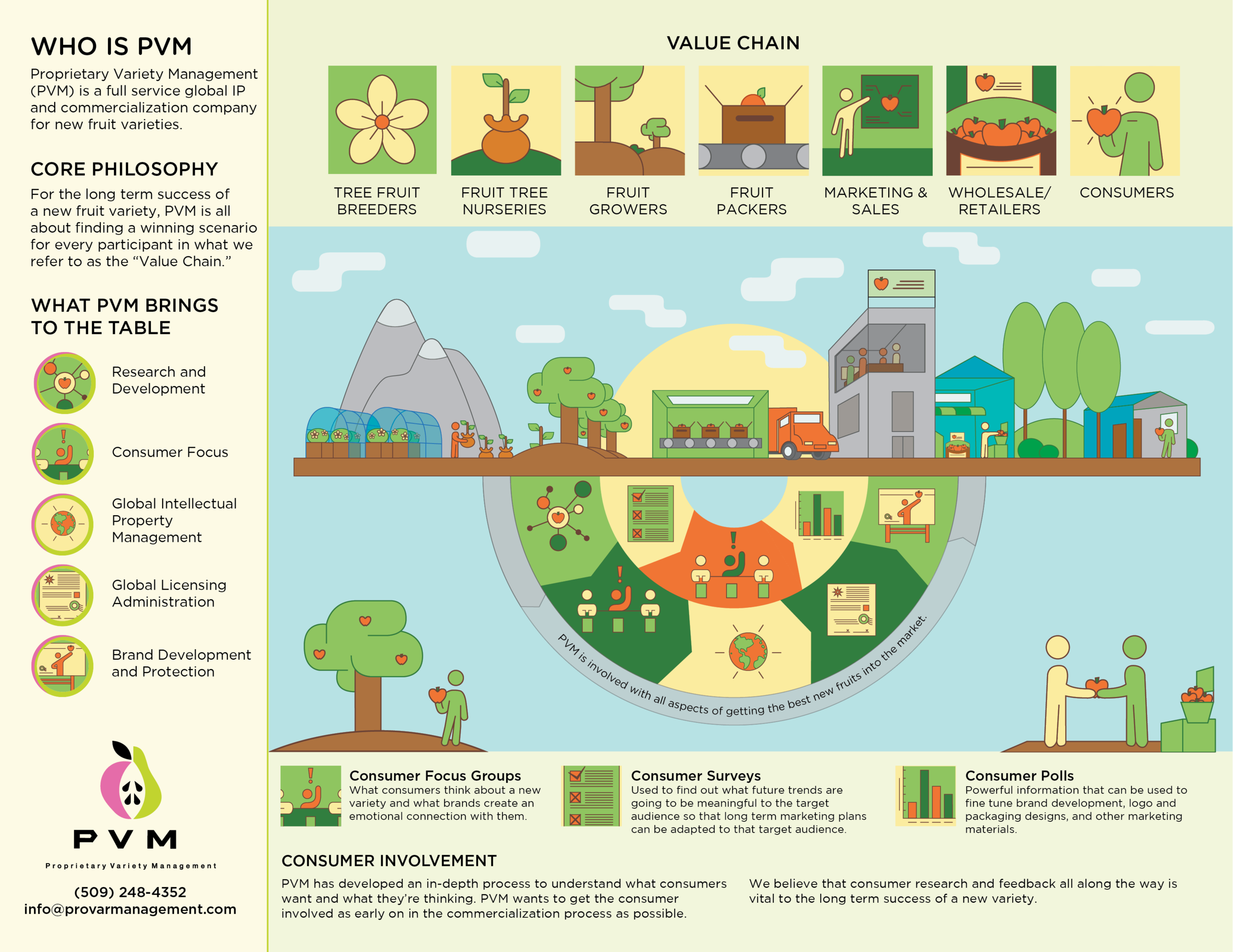 pvm-value_chain-infographics.jpg