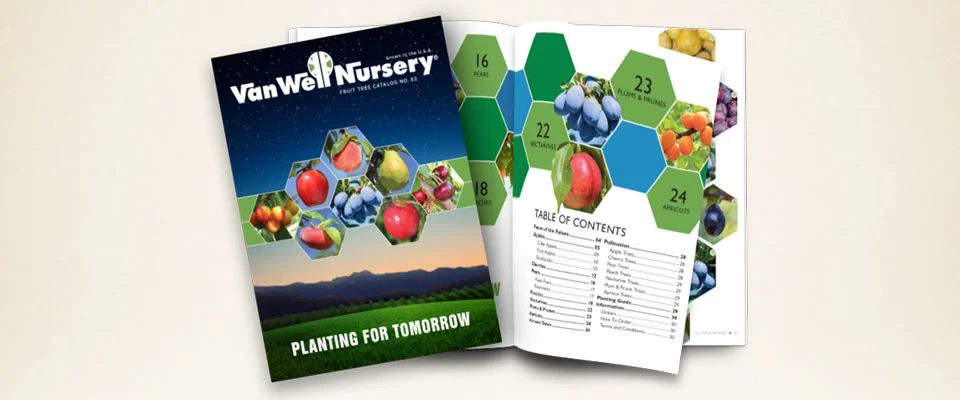 Van Well Nursery