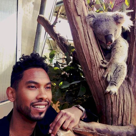 miguel-koala.jpg