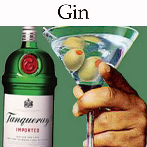 Gin-Thumbnail.jpg