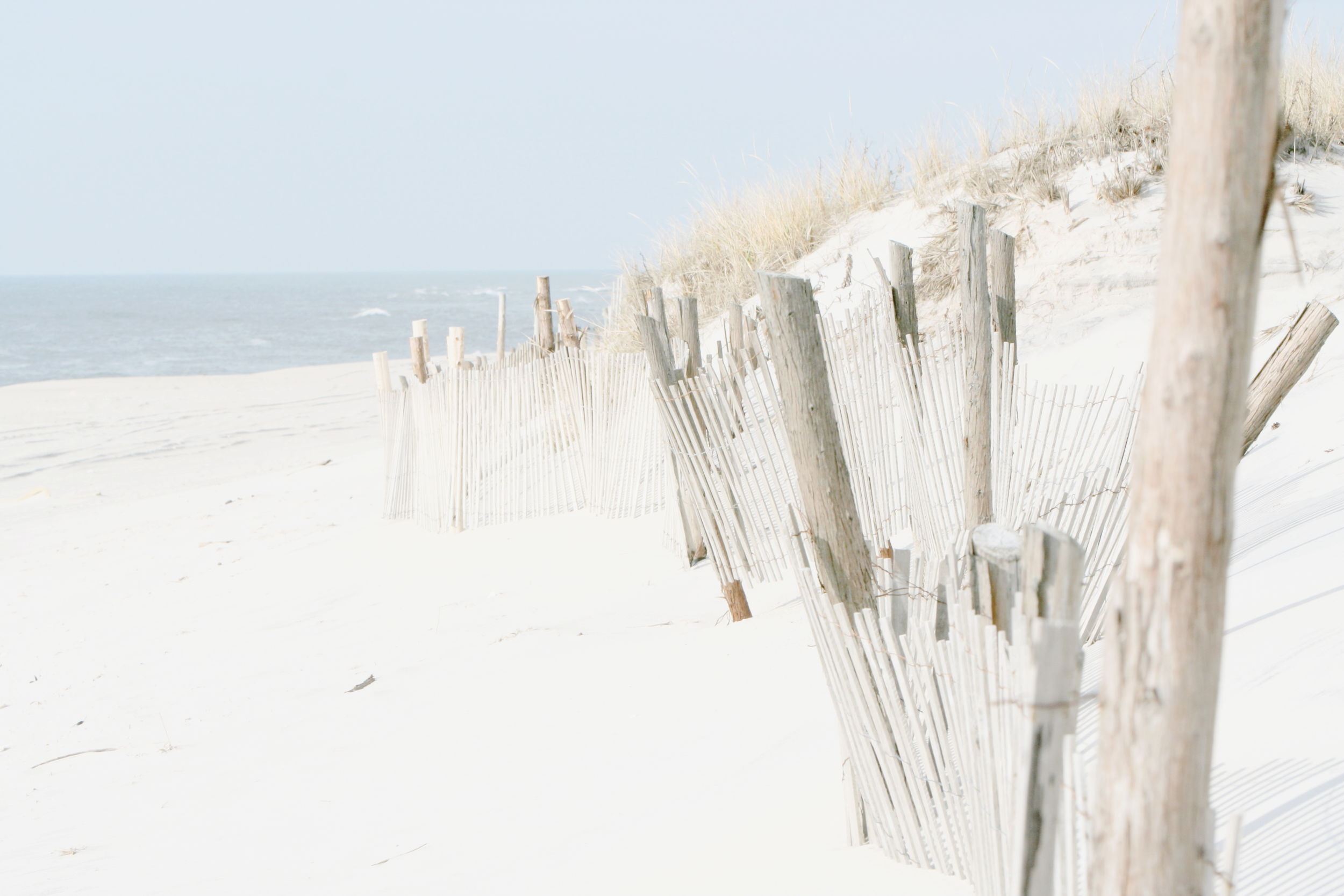 LBI_010407_ 041.jpg