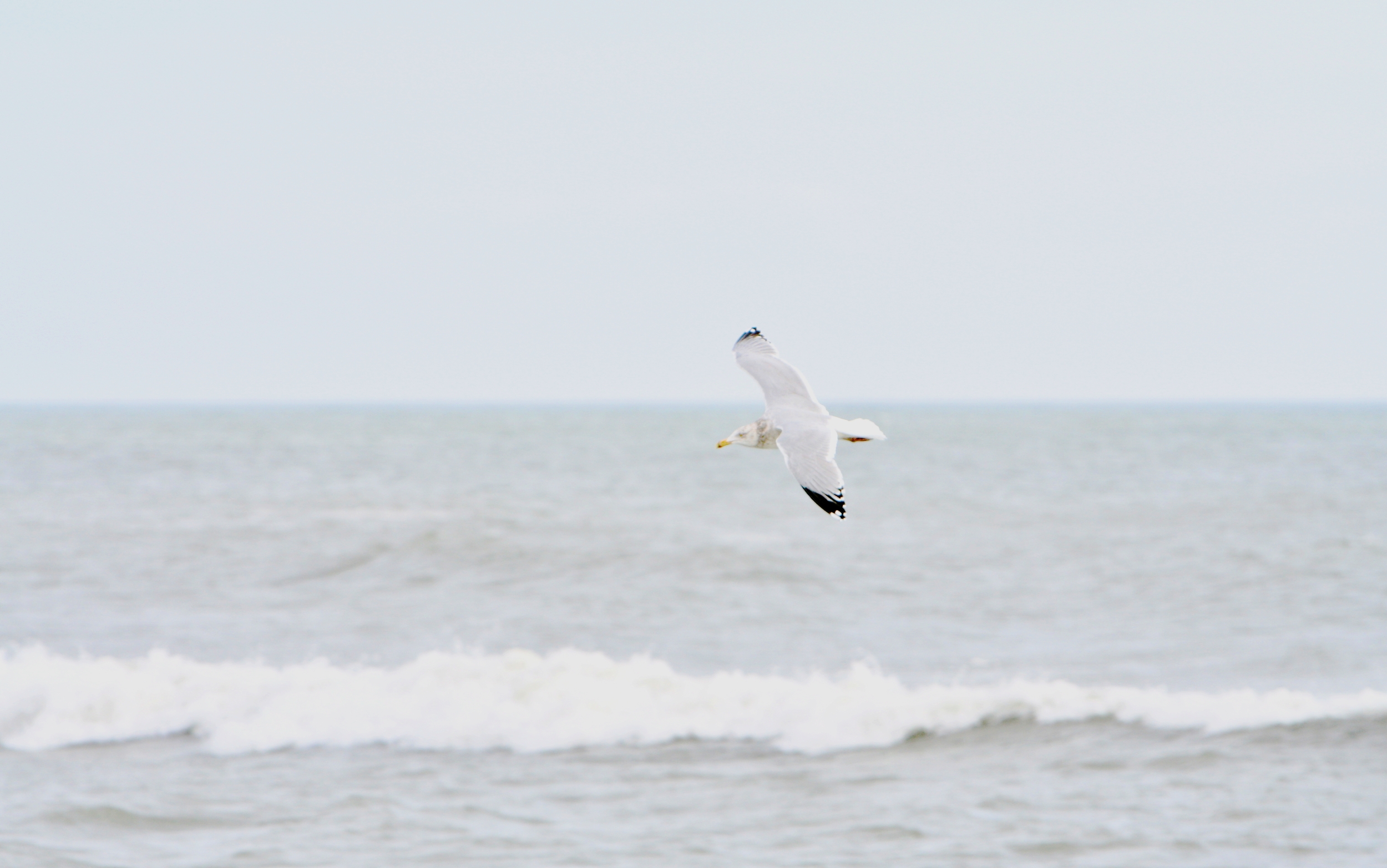 LBI_010407_ 137a.jpg