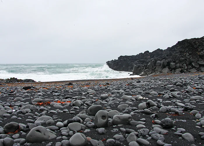 IMG_9715.jpg