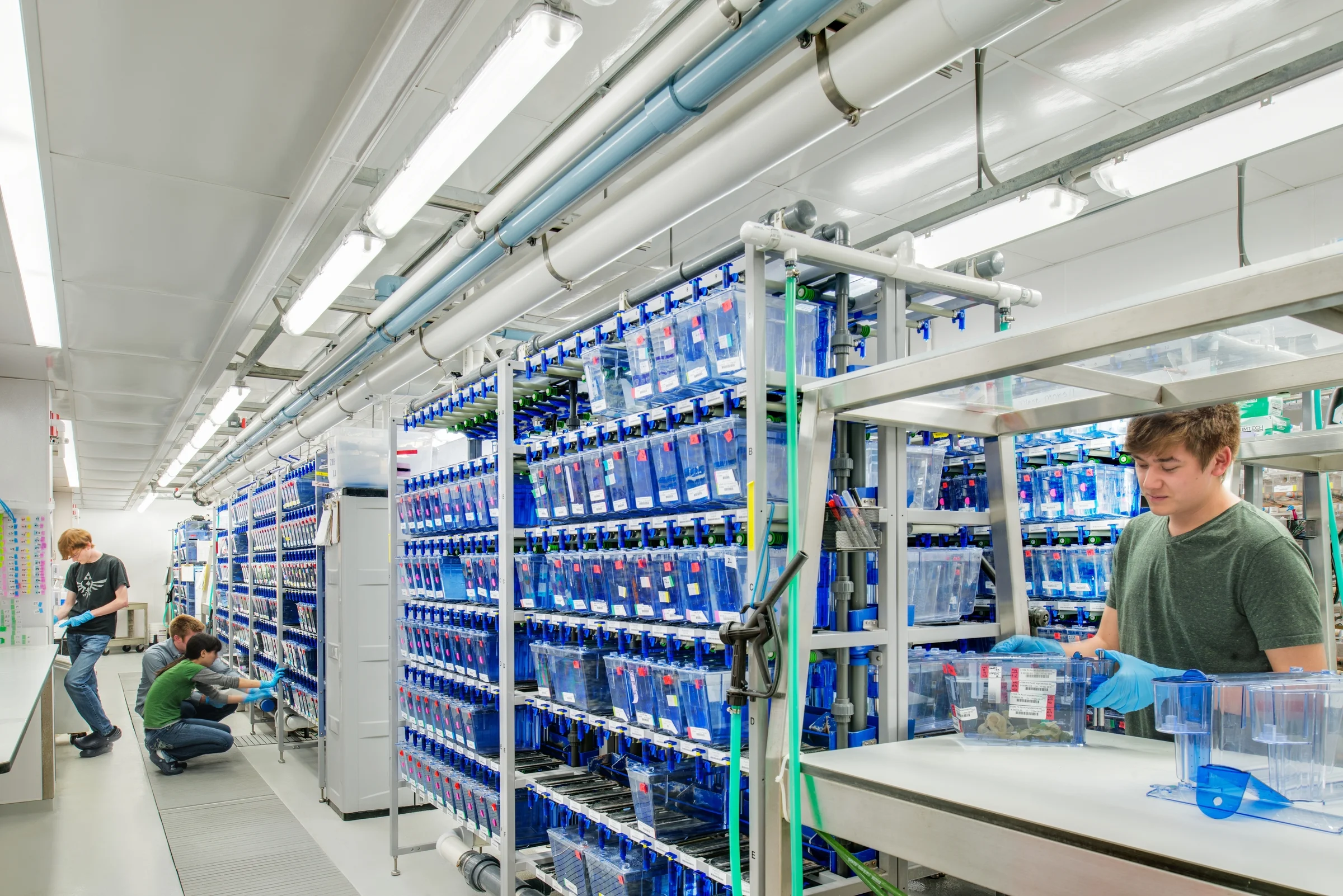 UO Zebrafish Core Facility