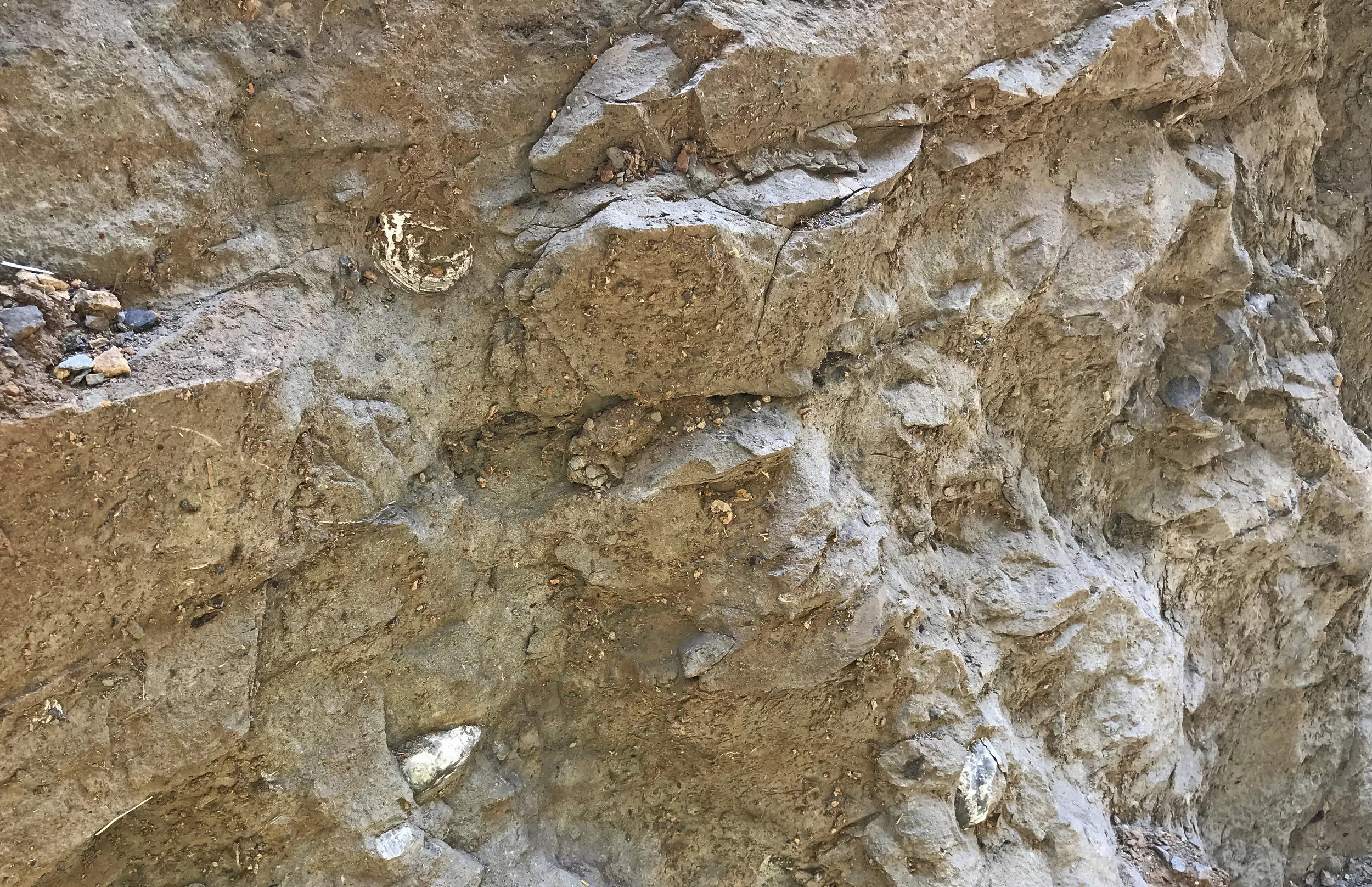 Tykeson Hall Construction Update: Geologic Formation On Display