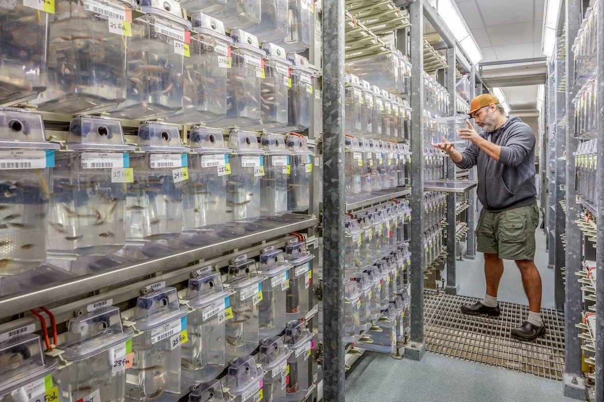 University of Oregon Zebrafish International Resource Center