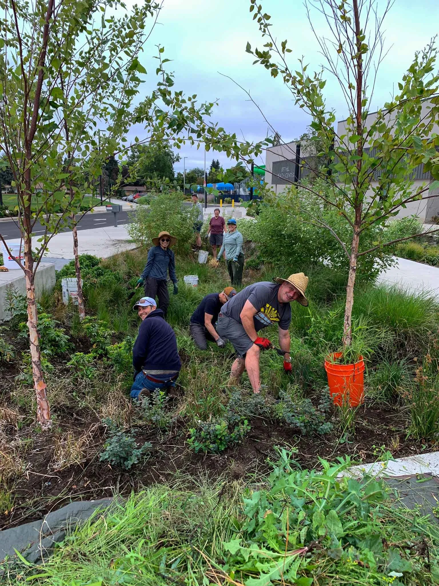 Cascade Middle School Weeding Party