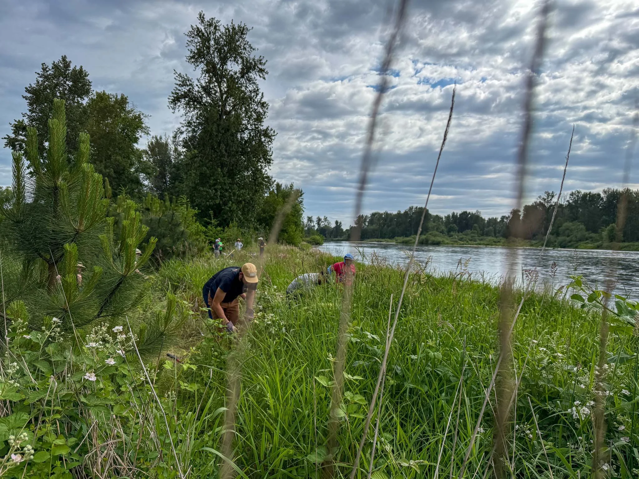 McKenzie River Trust Volunteer Day