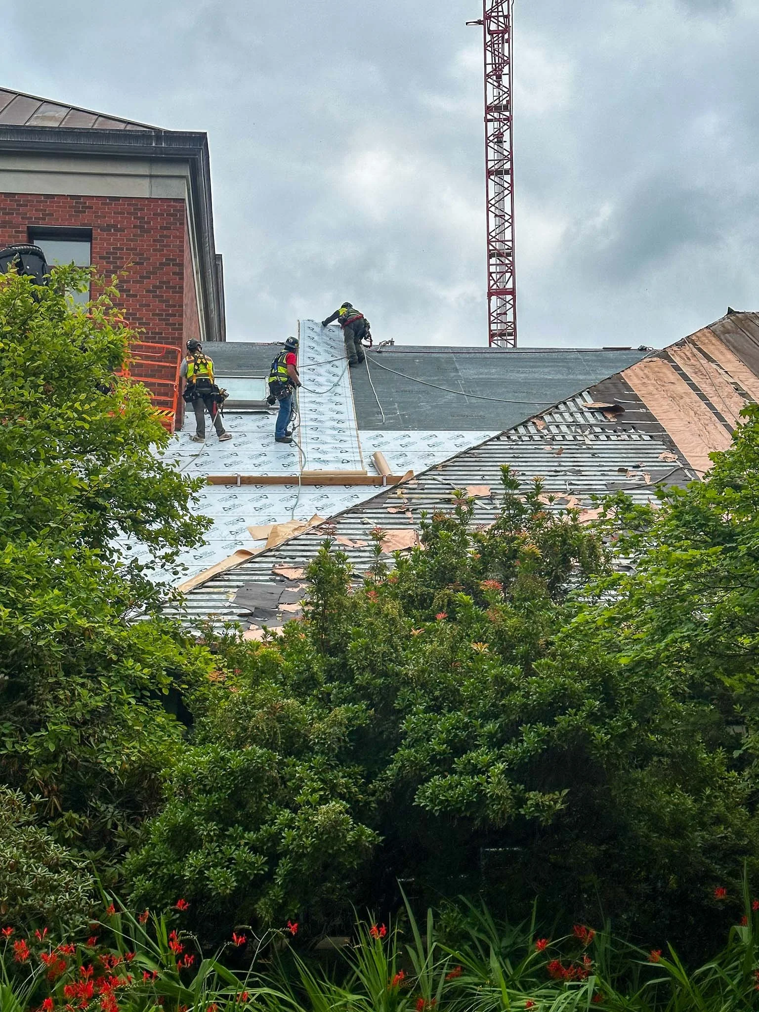 Reroofing Project at UO Willamette Hall