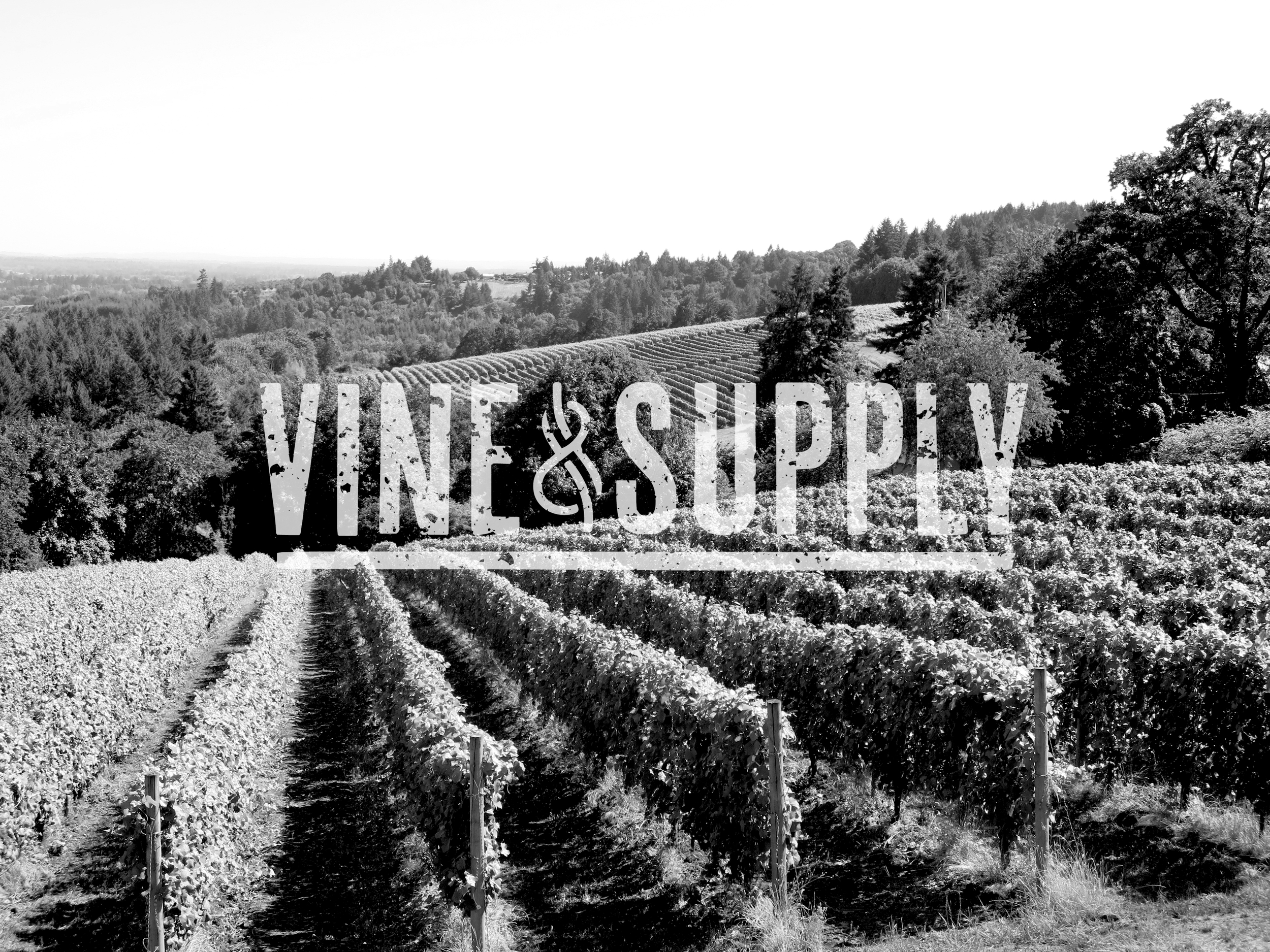 VINE & SUPPLY