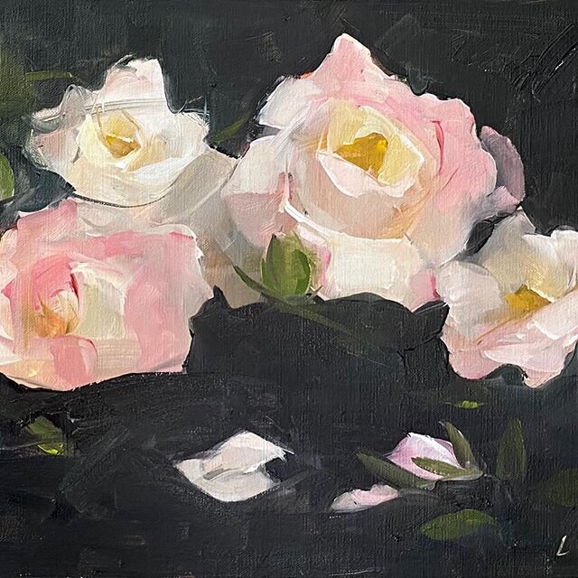 Garden Roses, 11&rdquo;x14&rdquo;, oil on linen panel (swipe for the whole painting) // every spring when these start blooming in our neighborhood I look forward to painting them - just humble little shrub roses but I love their warm ochre centers. H