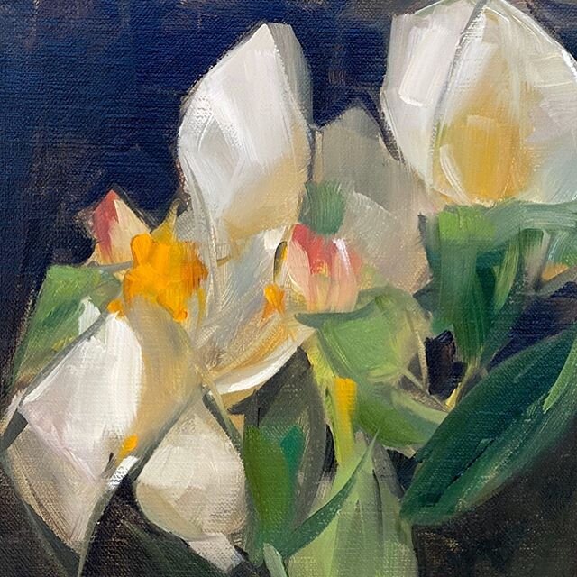 Dying Peonies, 8&rdquo;x10&rdquo;, oil on linen panel, swipe for whole piece // I&rsquo;ve said it before but flowers become so interesting to me when the petals start to age and the stems droop. I love how the colors mellow and the flowers soften. I