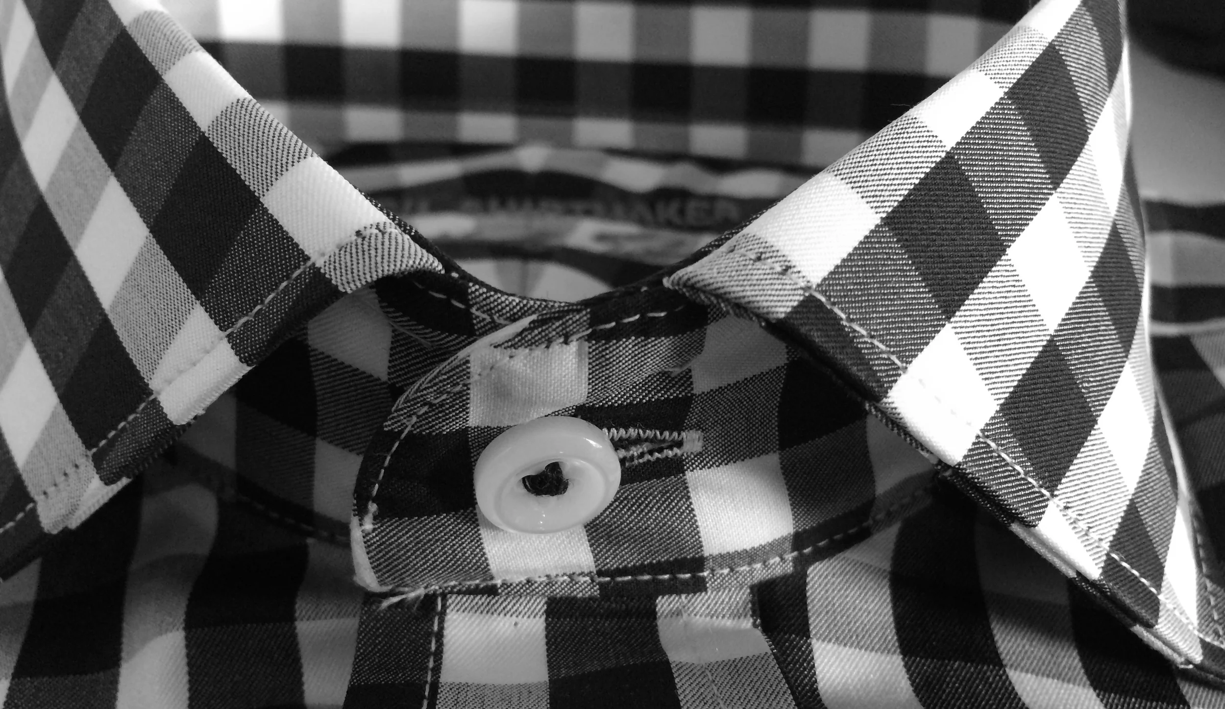 Collar close-up.jpg