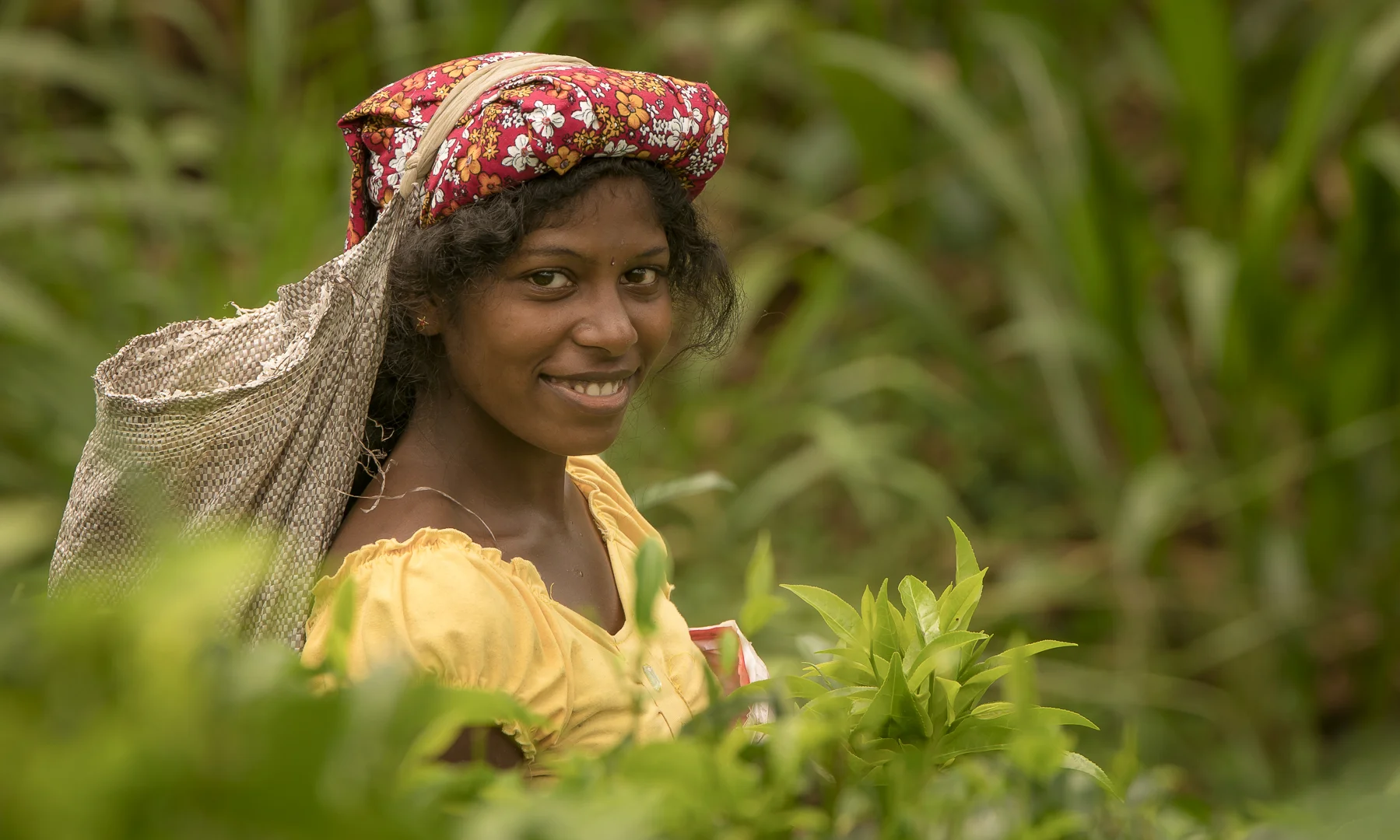 $1 a day tea pluckers - Sri Lanka .jpg