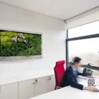 slimmgreenwall3.jpg