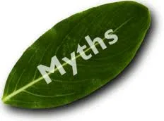 myths.jpg