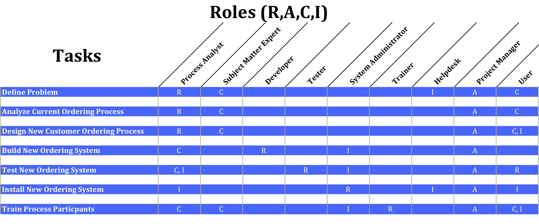 Data Governance Raci Chart