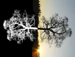 What is the Difference between BPM and ERP?