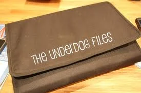 Transition Requirements: The Requirements Gathering “Underdog”