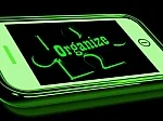 Organizing Business Analysts: Should Business Analysts Be Attached to Business Units or the IT Unit?