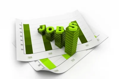 The Business Process Analyst Job Description