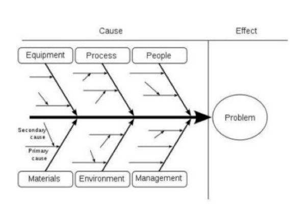 Fishbone Diagram