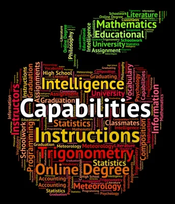 An Introduction To Business Capability Analysis
