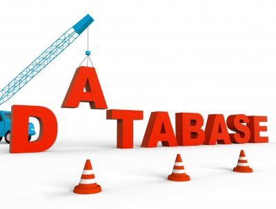 The Use Of Data Models On Software Projects: Why Bother?