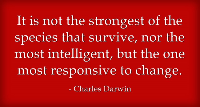 It-is-not-the-strongest.jpg